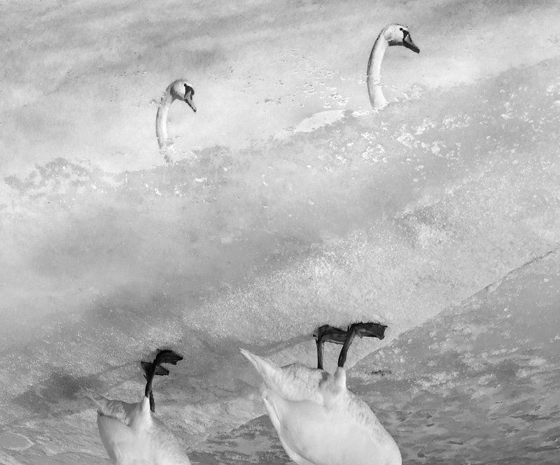 W lustrze... фото превью