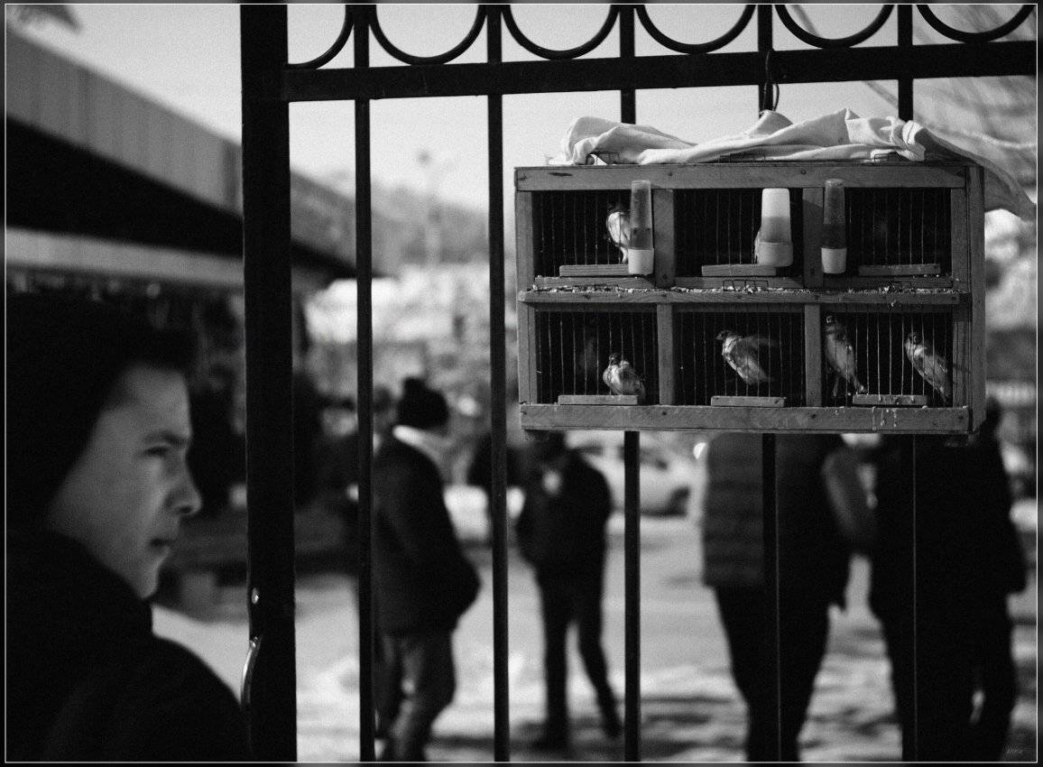 , Ильдар Садыков