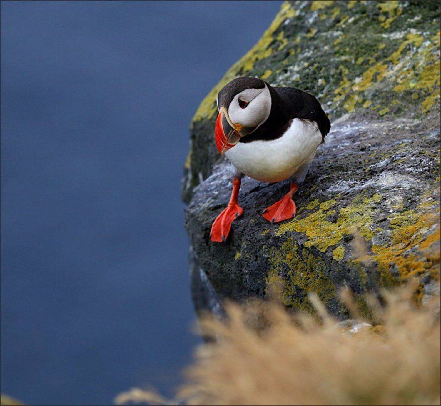 исландия, тупики, Вера