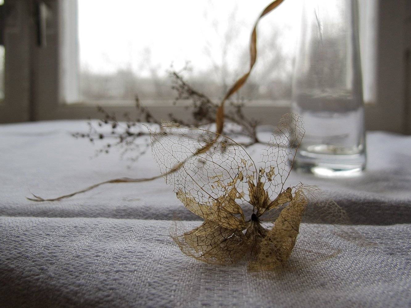 , ТАТЬЯНА ЗАХАРОВА