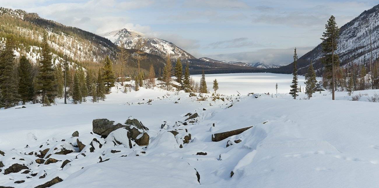 , Юра Тараник