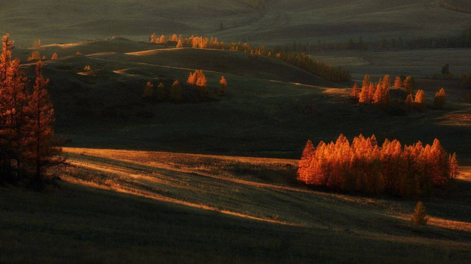 , Бруно Томский