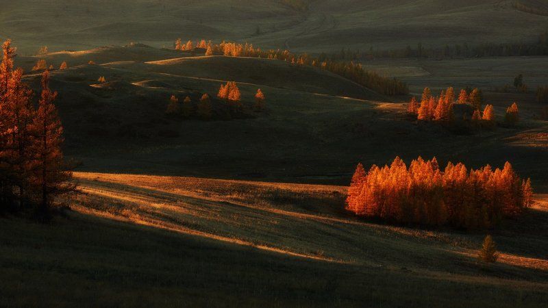 Холмогорские перезвоны фото превью
