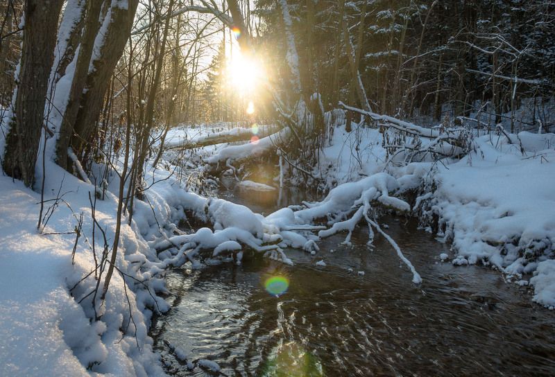 вечер, вода, закат, коряга, лес, лесная речушка, мороз, ноябрь, одинцово, оопт, осень, подушкинский лес, последний день осени, река, самынка, снег, солнечно, солнце, природа Последний день осени фото превью