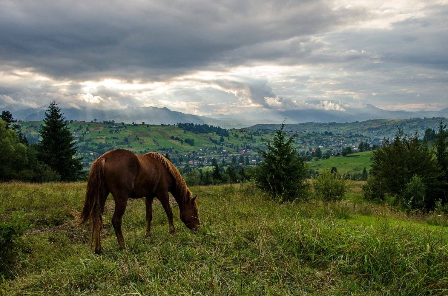 карпаты, Валерий Наумов