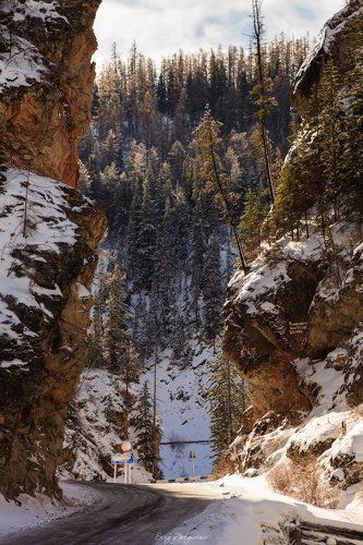 Красные ворота