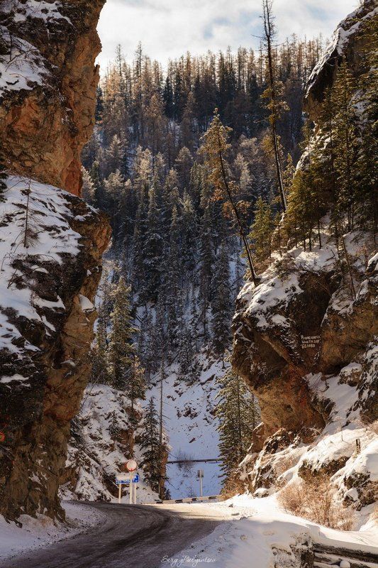 горный, алтай, красные, ворота, урочище, ущелье, каньон, чибитка, горы, лес, тайга, река, ручей Красные ворота фото превью