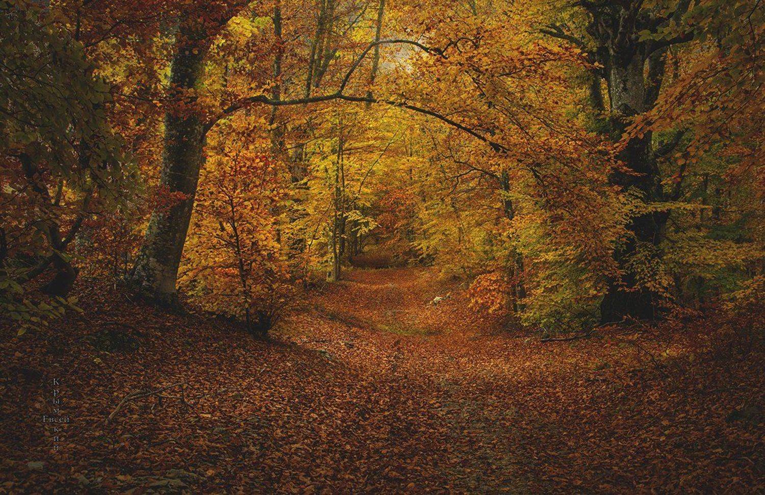 перевал,ноябрь,крым,осень., Борис Костарев