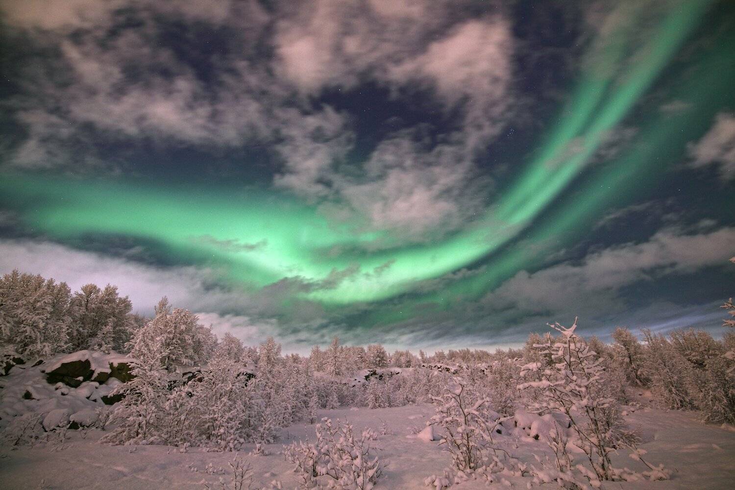 сияние мурманск, Дмитрий