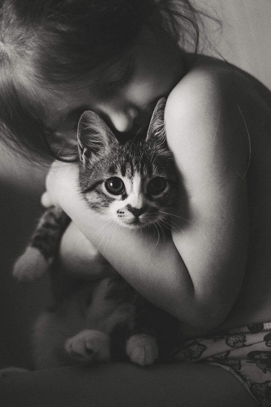 девочка, кошка, объятия, на ручках, Юлия Полуэктова