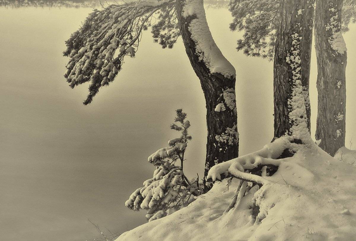 , Валерий Кондратов