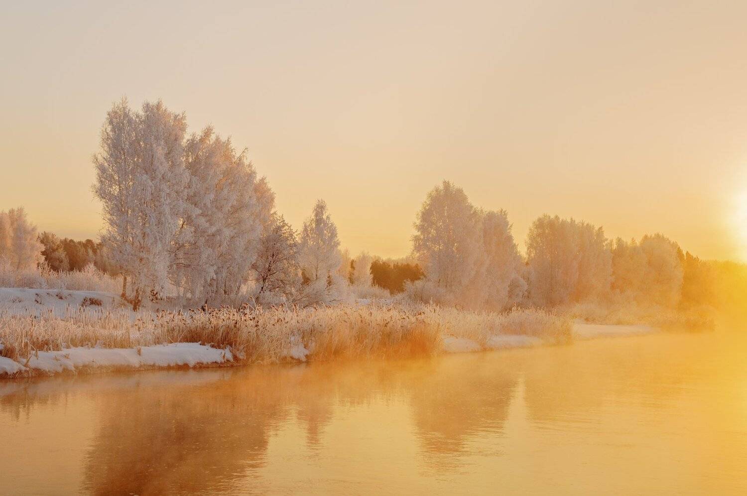 рассвет, Олег Богданов