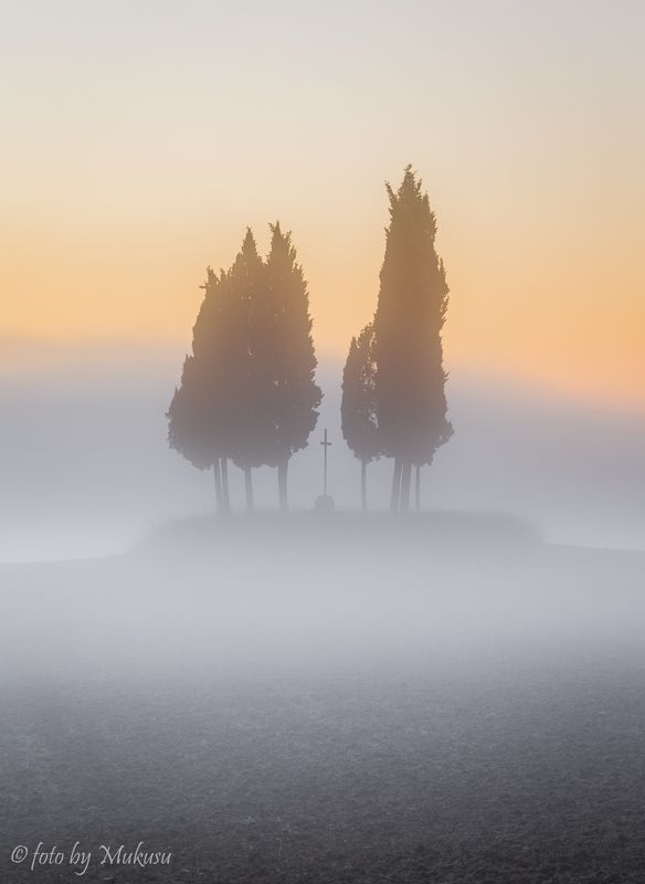 италия, тоскана, пейзаж, утро, туман, Утро Туманное фото превью