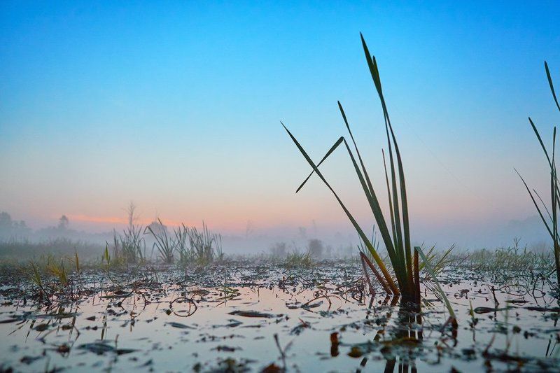 Сибирское утро туманное фото превью