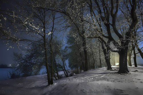«Зазим-ленный» парк в Несвиже	