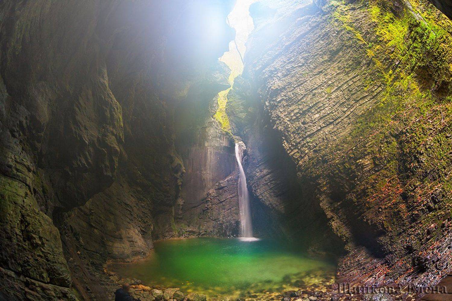 , Щипкова Елена