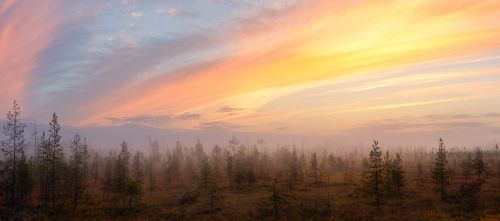 Карельским утром