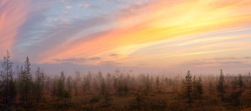 Карельским утром фото превью