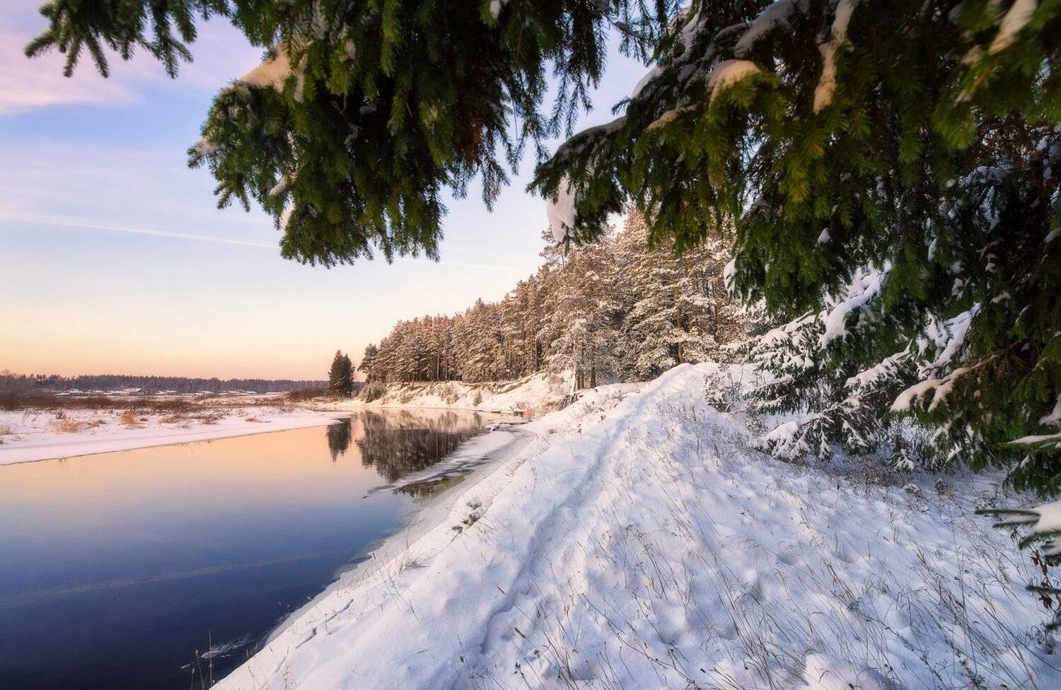 , Устюжанин Михаил