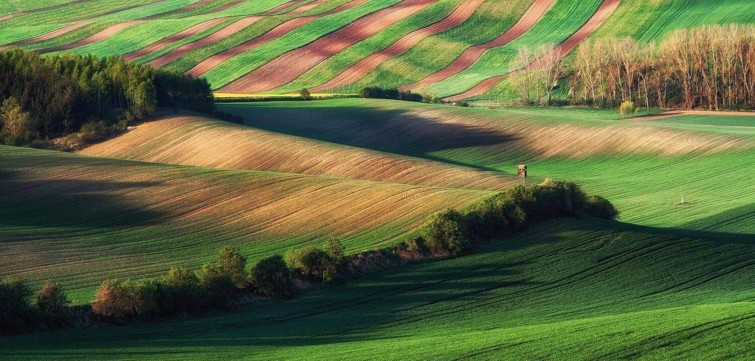 Моравия Чехия пейзаж поля путешествия холмы, Сергей Давыдов