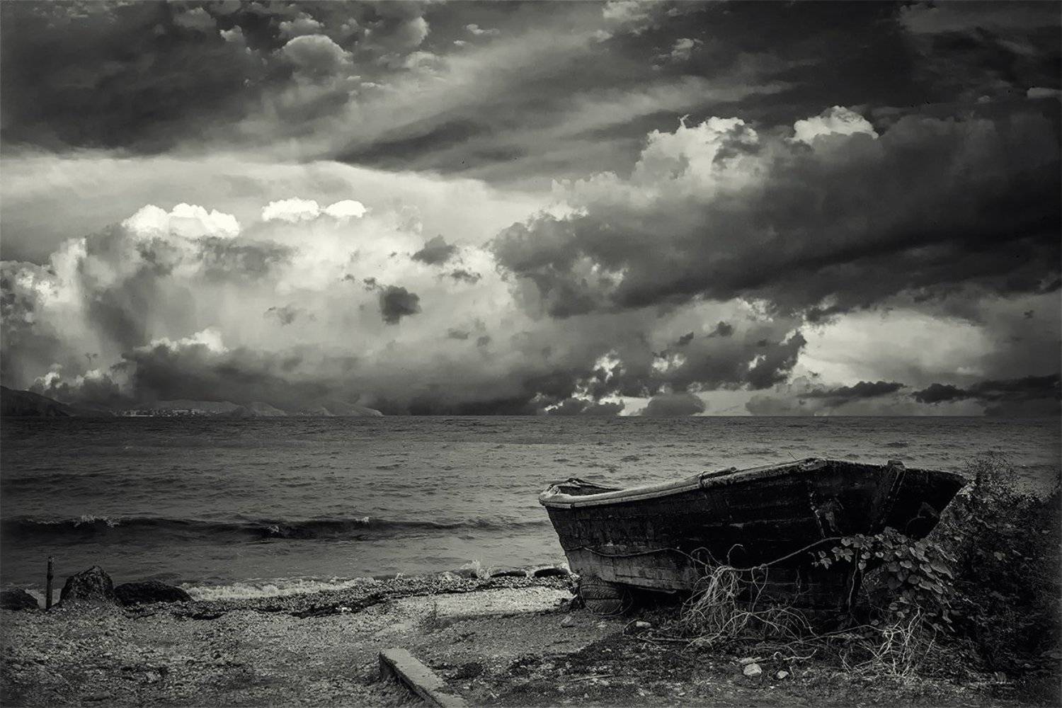 , Анатолий Зверев