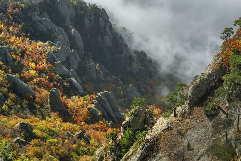 Крым, Демерджи Над Демерджи бродят туманы фото превью