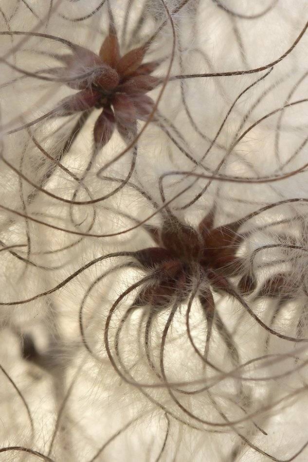 , Иваненко Светлана