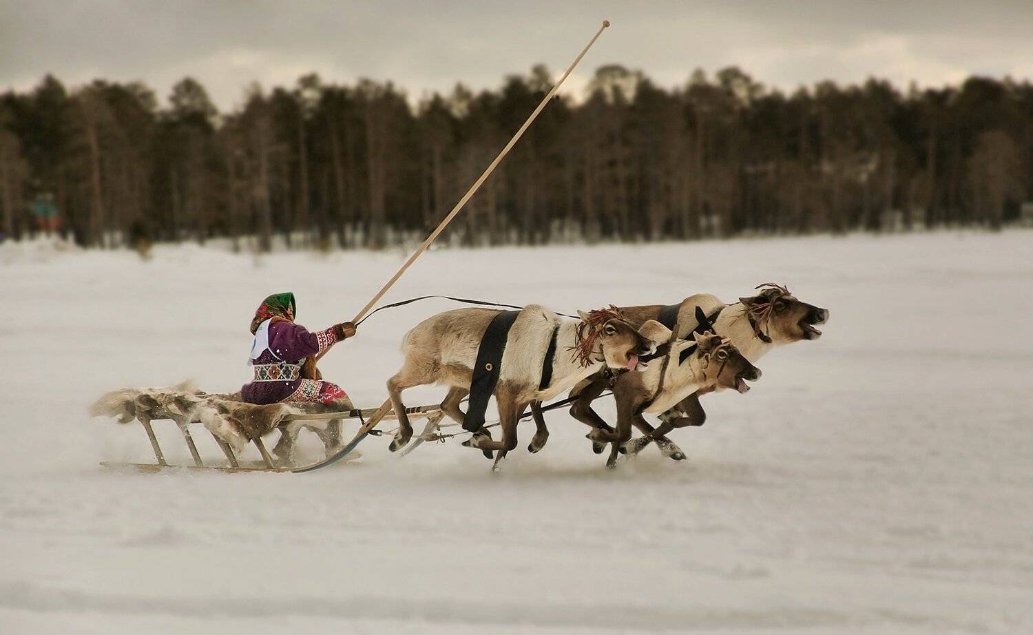 югра, Борис Полозков