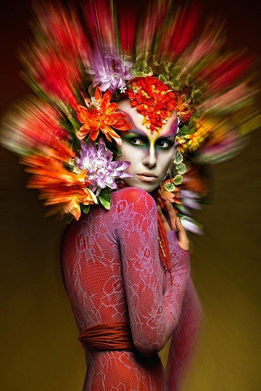 Птица - Феникс фото превью