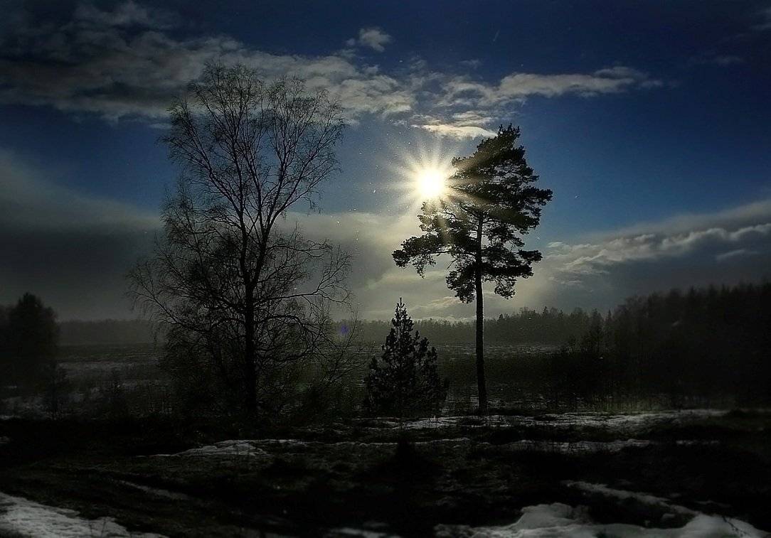 , Василий Черкасский