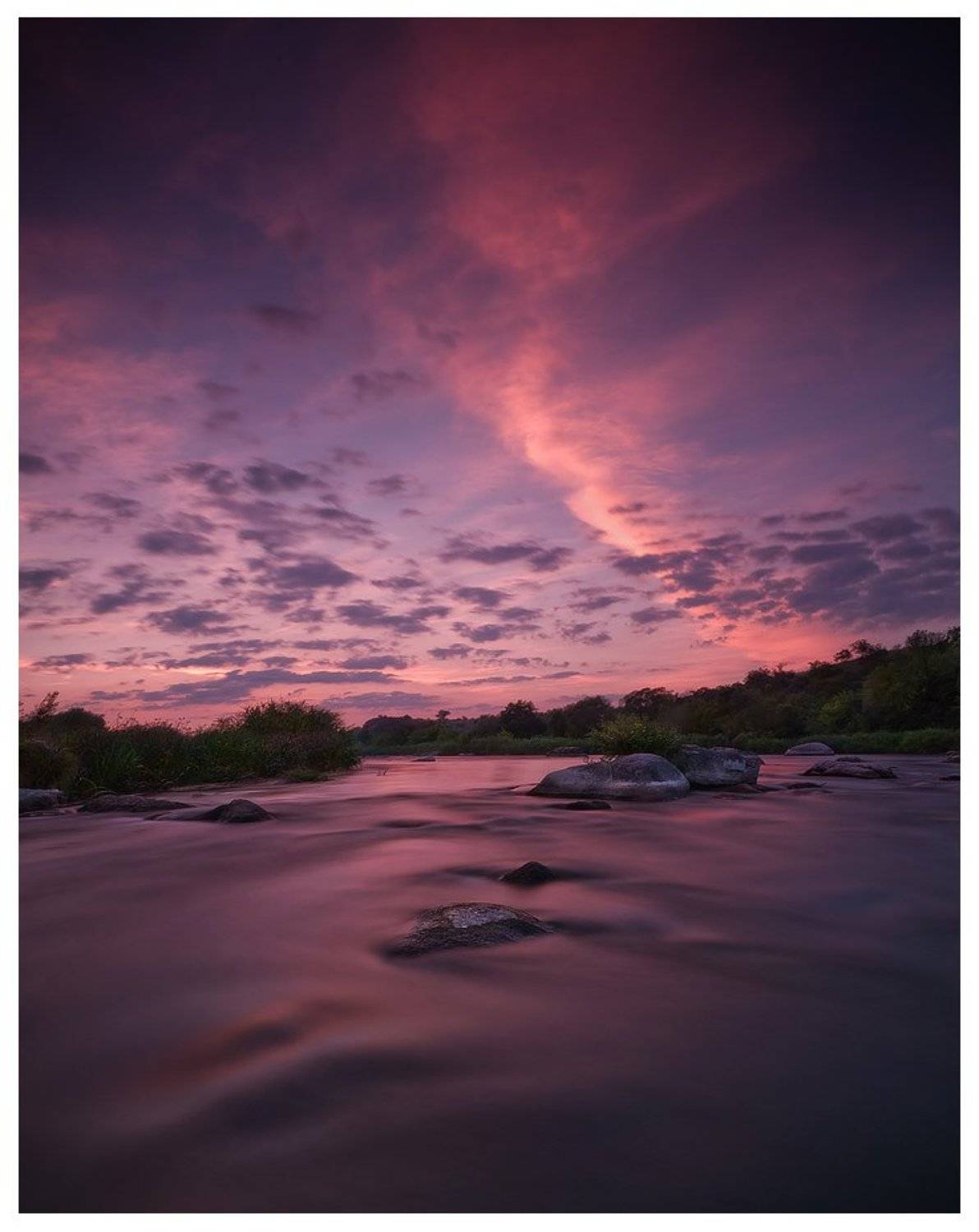 , Денис Кривой