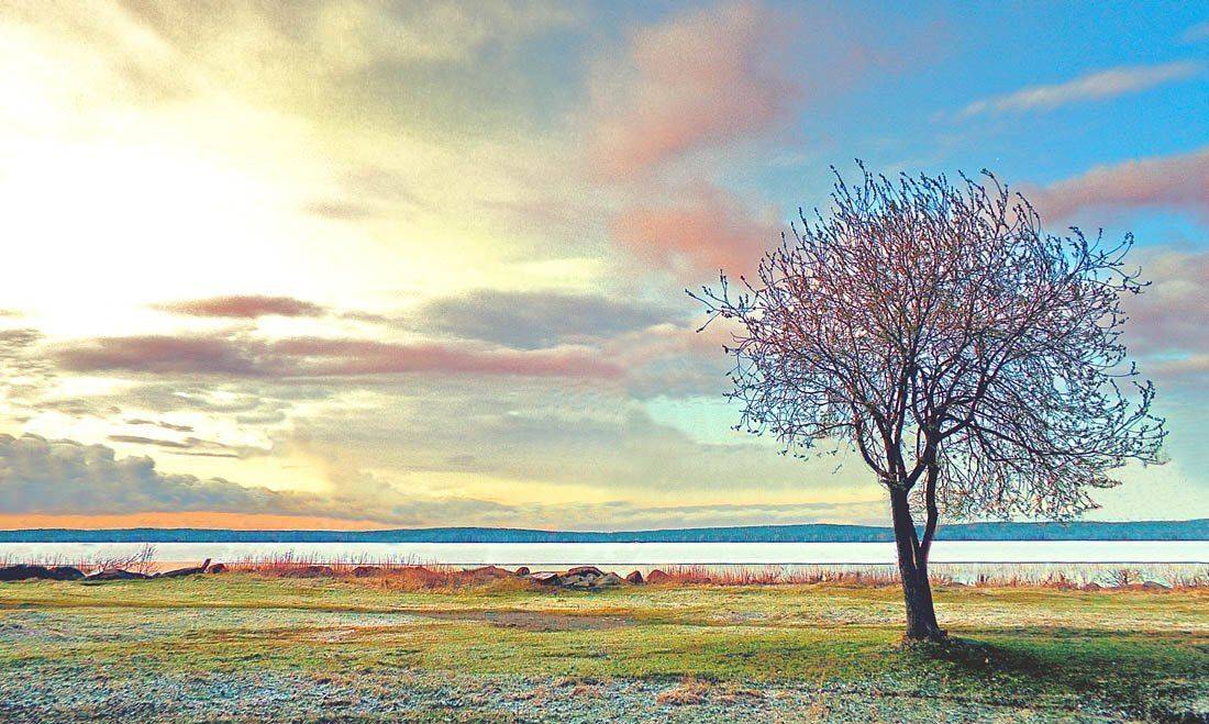 екатеринбург, озеро, шарташ, Dimitriy