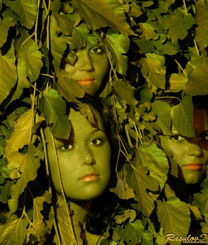 ЗАКОЛДОВАННЫЕ СЁСТРЫ фото превью