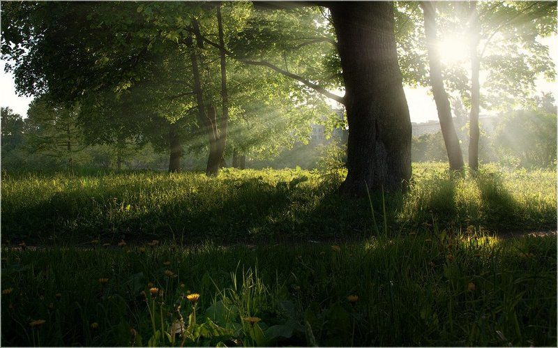 Утренний воздух фото превью