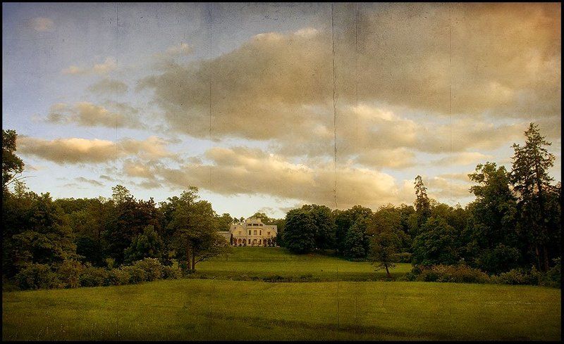 парк,  деревья,  усадьба Как в старину... фото превью