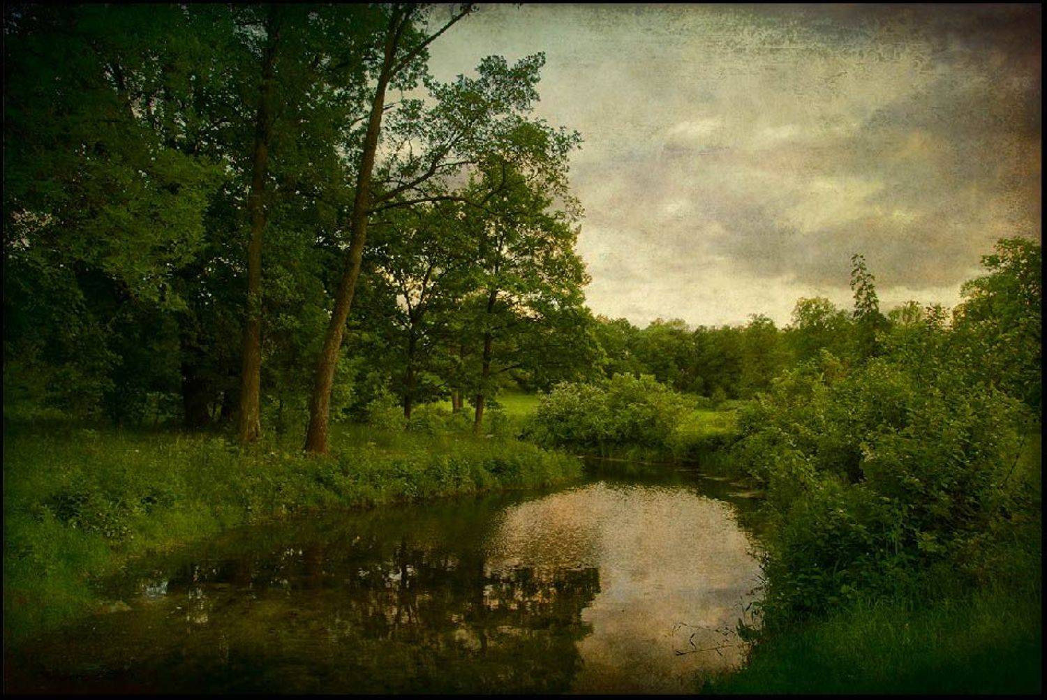 , Максим Задвинский