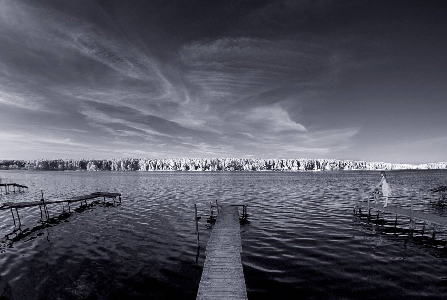 , Максим Евдокимов