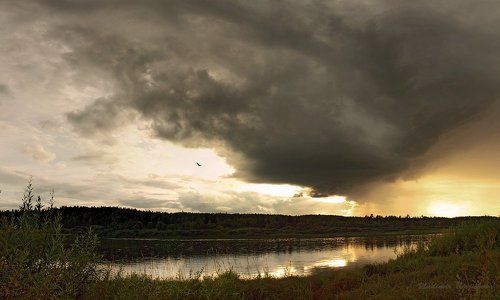 Приближение солнечного дождя...