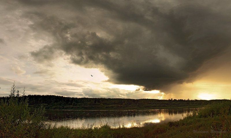 архангельская область, река онега. Приближение солнечного дождя... фото превью
