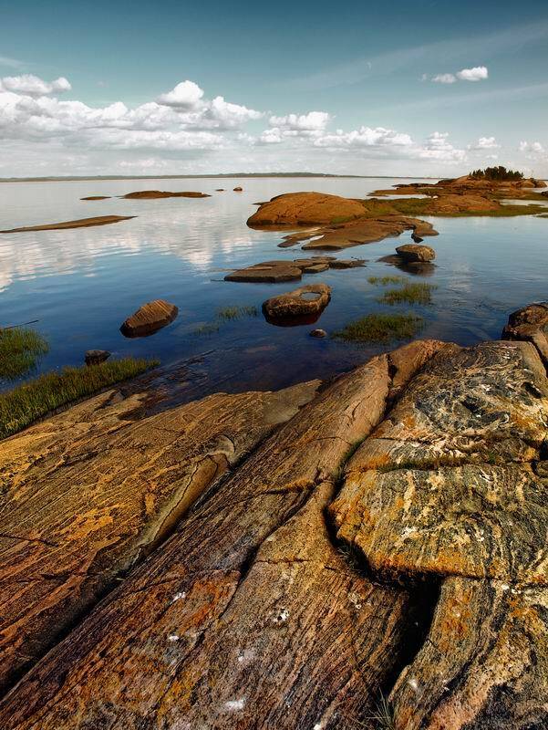 пейзаж, николай дмитрук