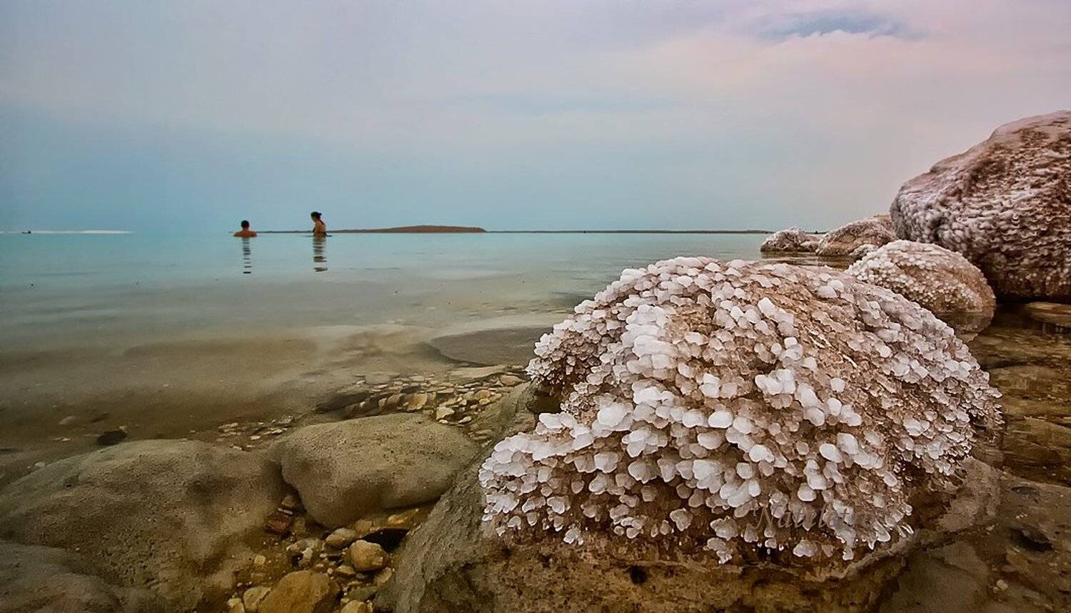 мёртвое, море, израиль, Nateletro