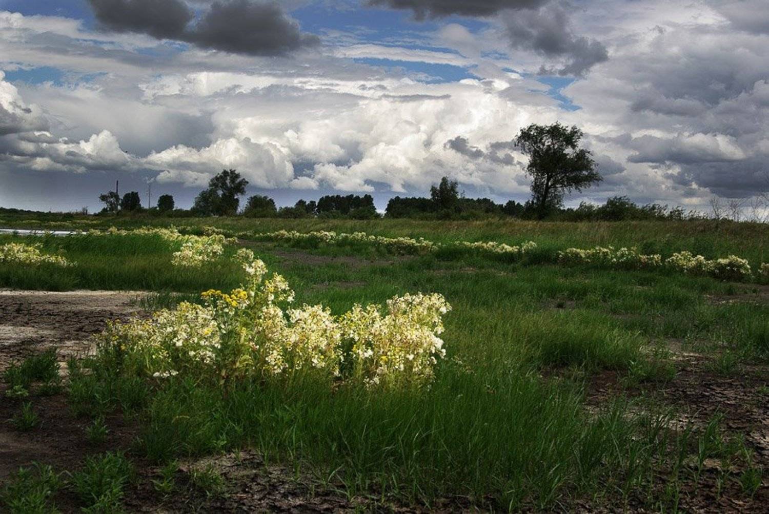 природа, зауралье, фотограф, руденко, олег, Руденко Олег