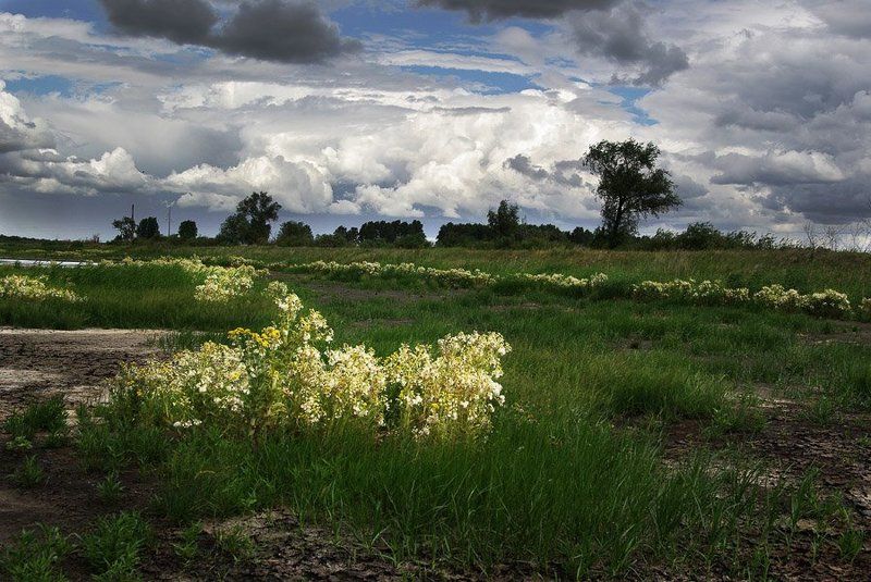 *** фото превью