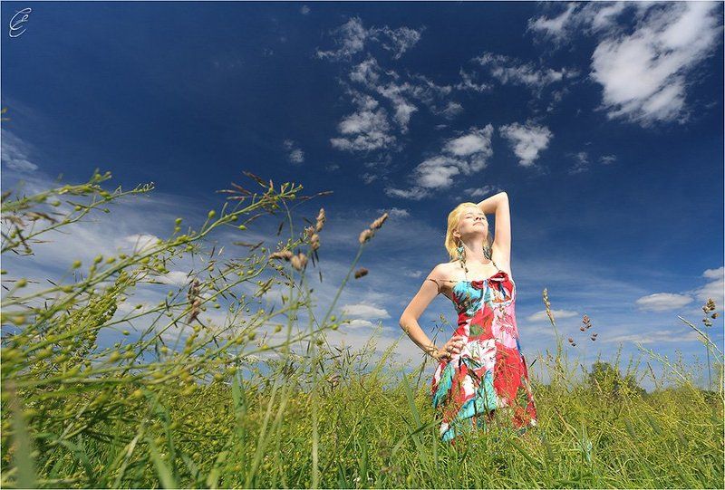 В летнем поле фото превью