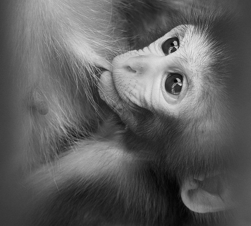 * фото превью