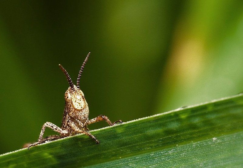 Промок фото превью
