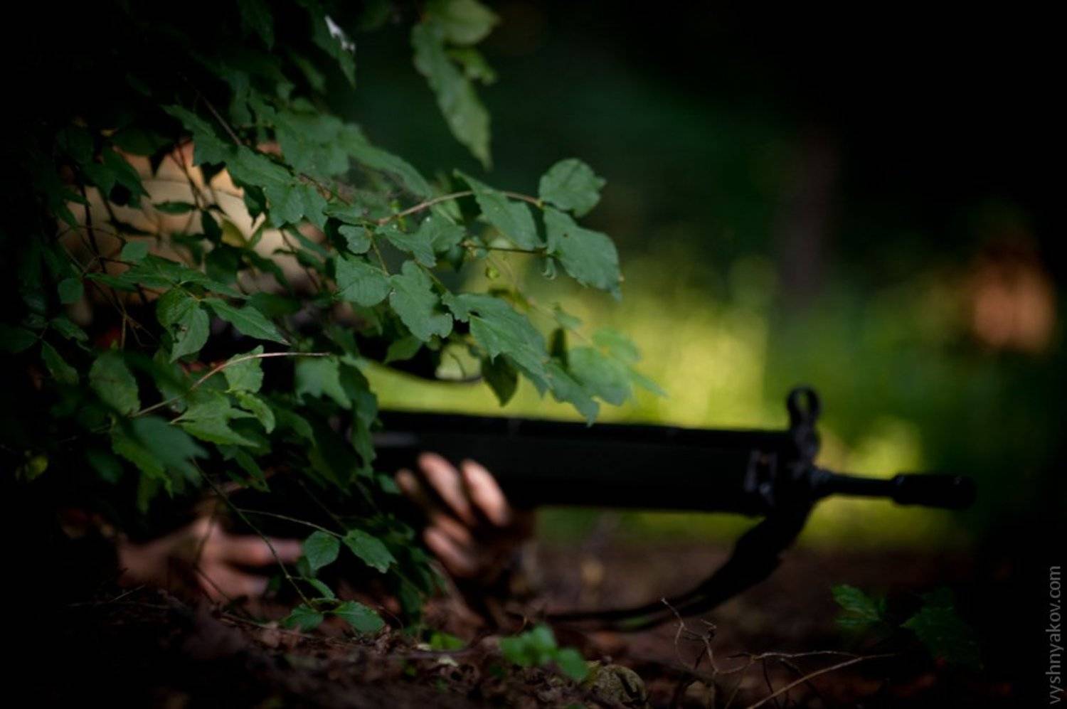 , Александр Вишняков