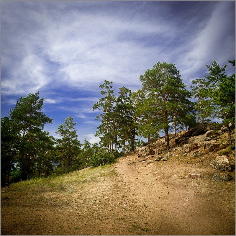 Пейзаж с соснами фото превью