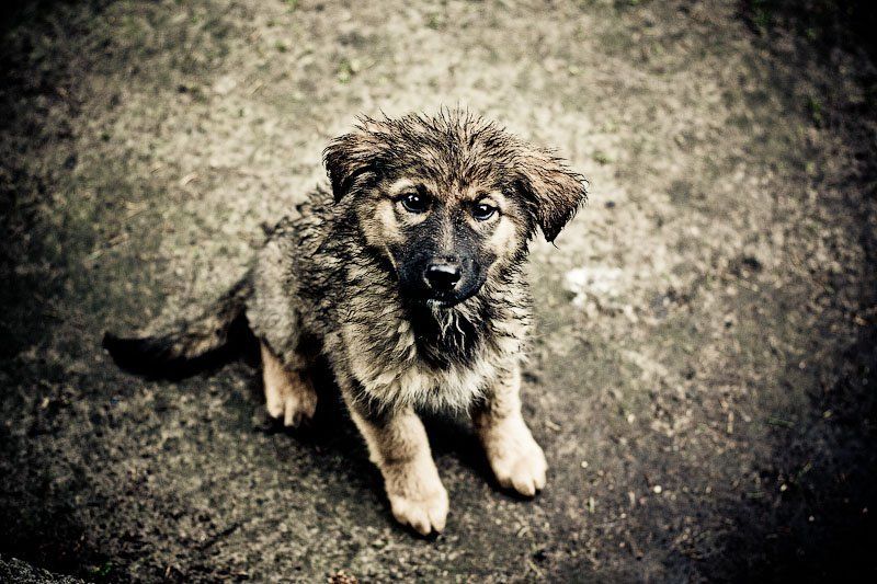 Ну возмите меня ... фото превью