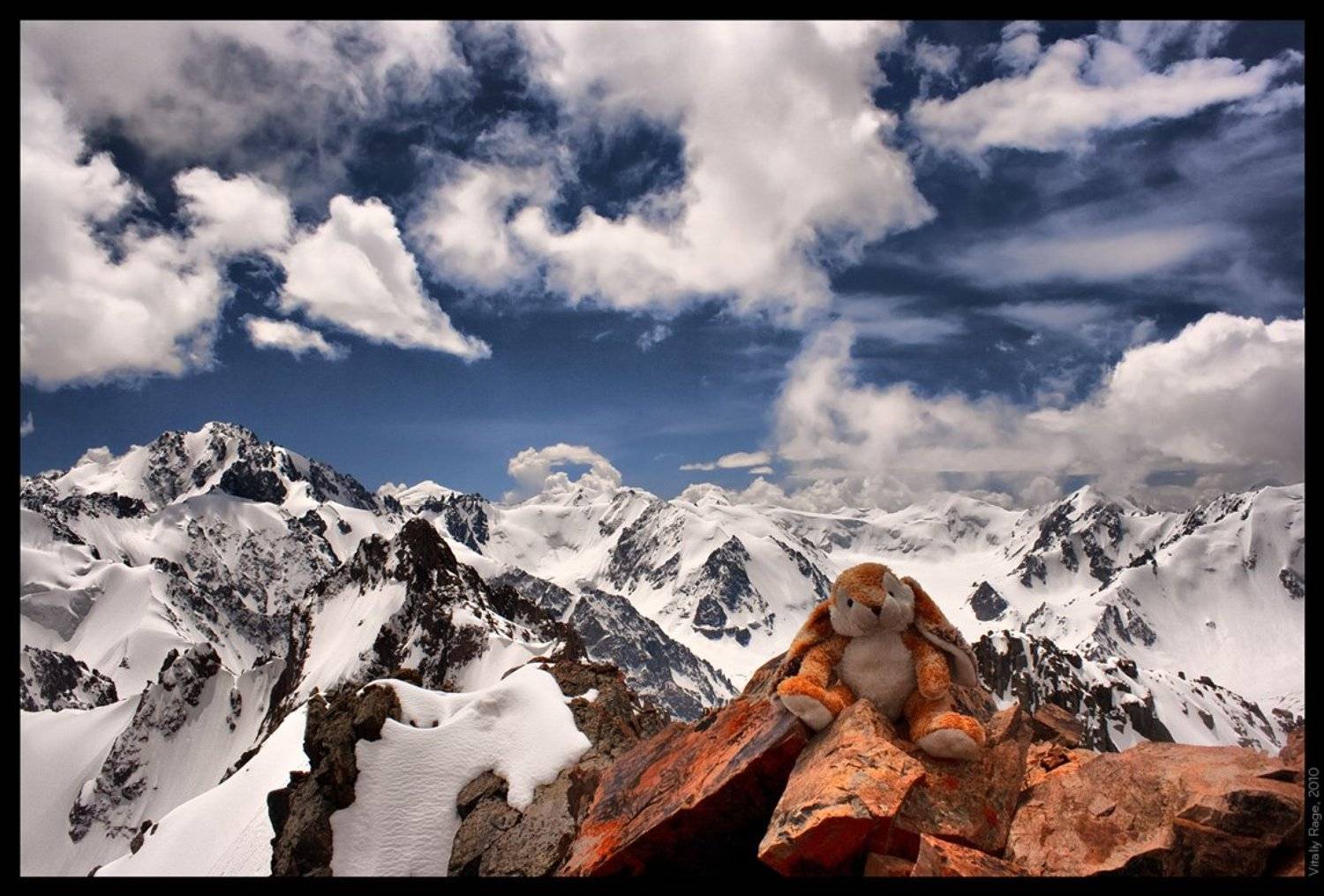 заяц, напарник, горы, казахстан, пик, облака, свобода, стихия, Vitaliy Rage